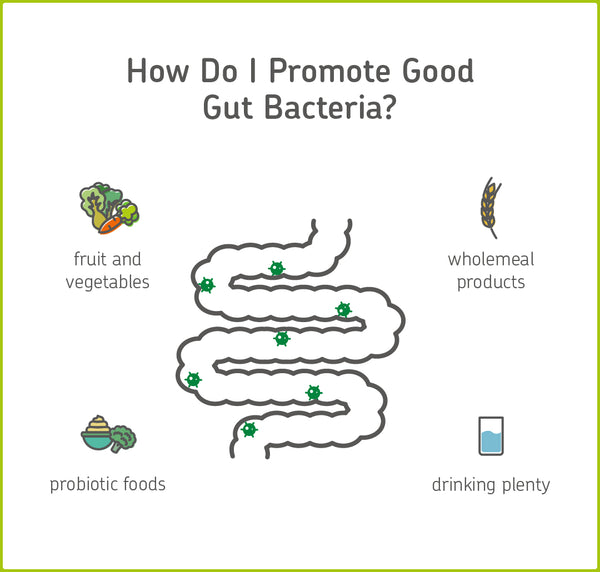 infographic on promoting healthy gut microbiome