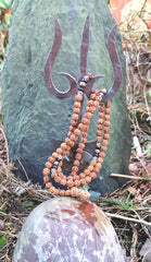 Chapelet shiva rudraksha.