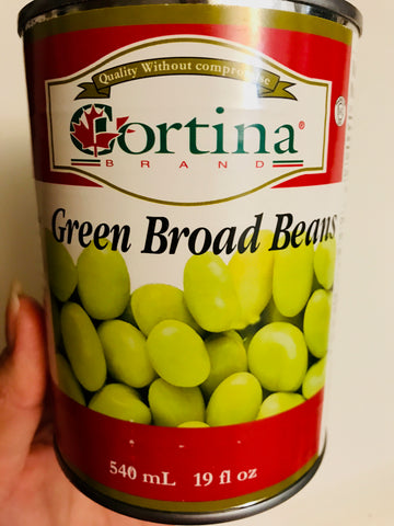 Can of green broad beans/fava beans