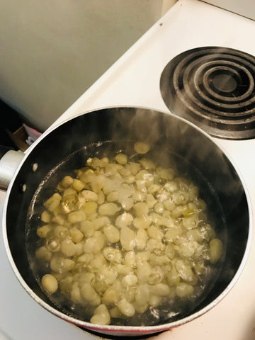 Fava beans/broad beans boiling in pot of water