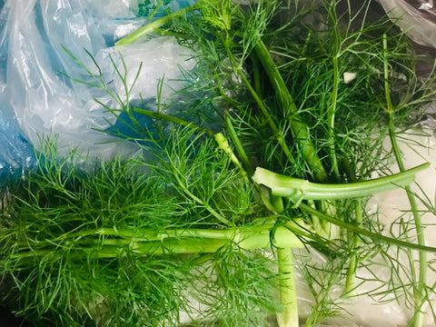 Tops of fennel used in Jamie Oliver's crab and fennel spaghetti recipe