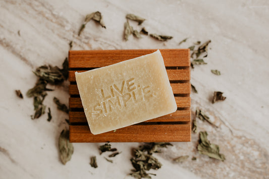 Dude Shampoo Bar – living simply soap