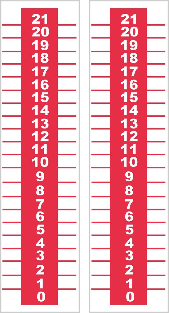 Printable Bean Bag Toss Score Sheet