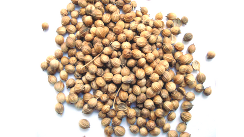 How To Prepare Coriander Water For Diabetes Herbaly