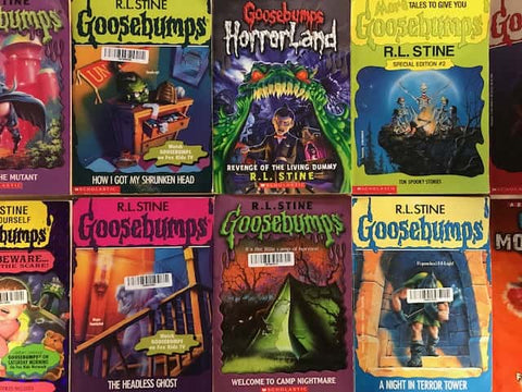 goosebumps kids chapter books series sold by the book bundler