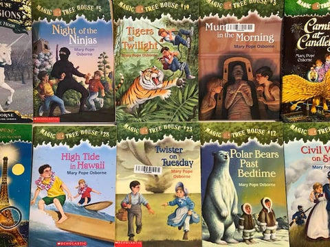 the magic tree house kids chapter books series