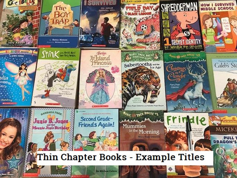 kids chapter books, magic treehouse, diary of a wimpy kid, junie b jones and many more sold by the book bundler
