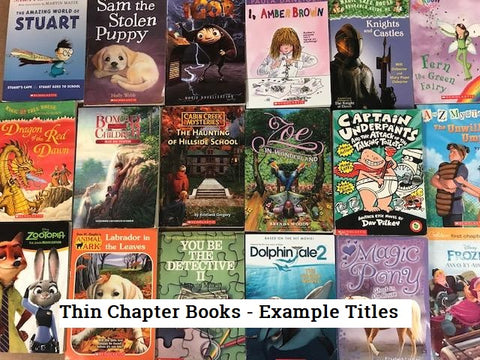 kids chapter books, magic treehouse, diary of a wimpy kid, junie b jones and many more sold by the book bundler