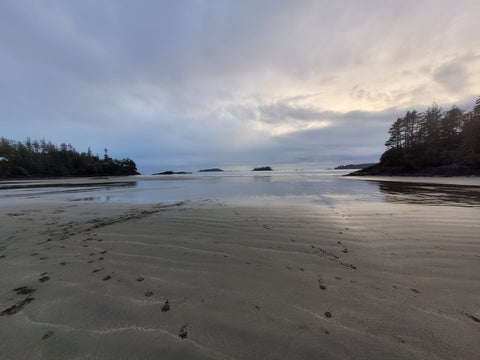 February Writing Retreat on Vancouver Island (Gulf Islands, San Juan Islands) in Tofino