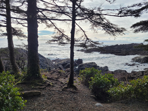 Remote writing workshop on the Northwest Coast (near Seattle and Port Angeles)