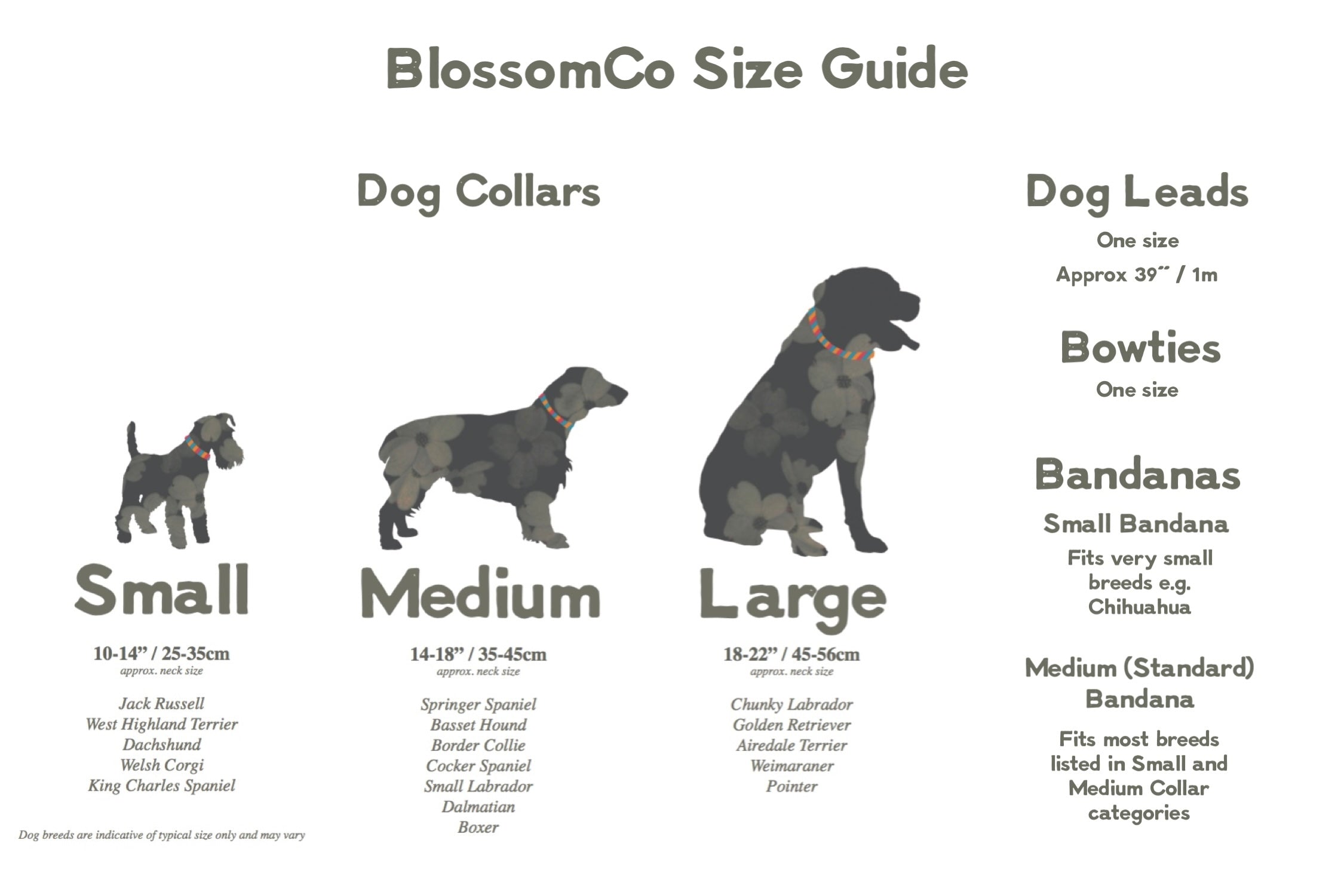 BlossomCo All Products Size Guide