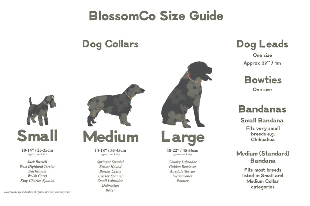 BlossomCo all Products Size Guide