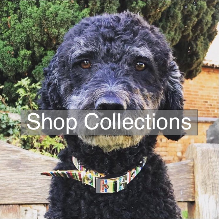 blossomco-handmade-dog-collars-lead-collections