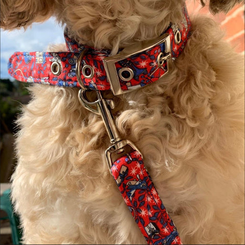 christmas dog collar and lead