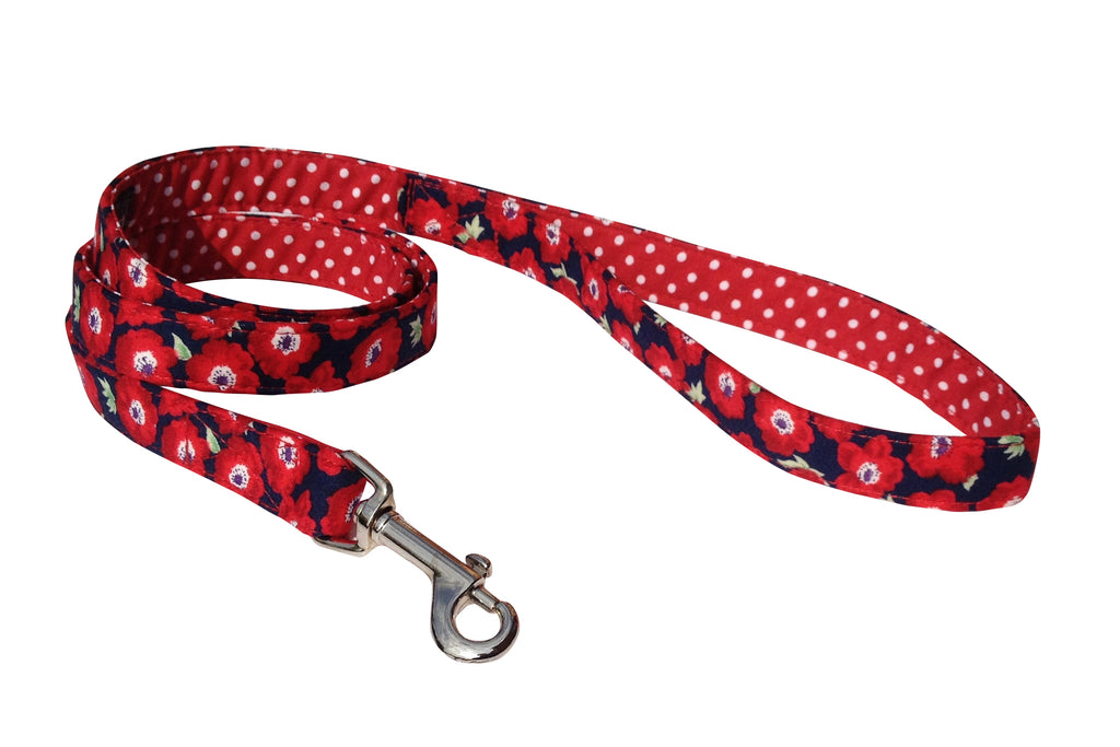 poppy dog collar and lead