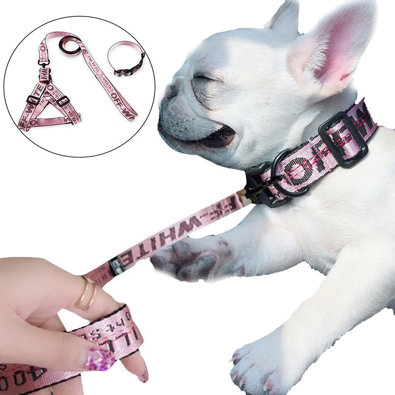 personalized dog collars and leashes