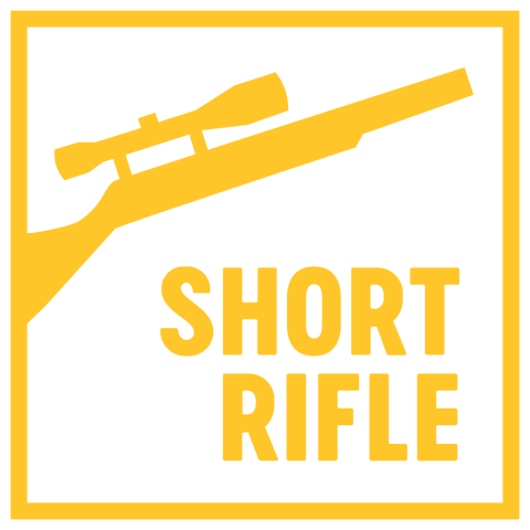RWS Short Rifle