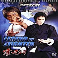 kung fu fighter dvd