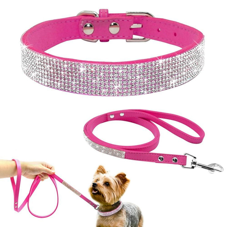 pet collars and leashes