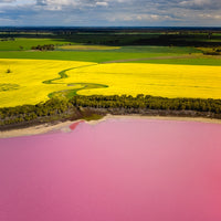 Pink Lake in Australia