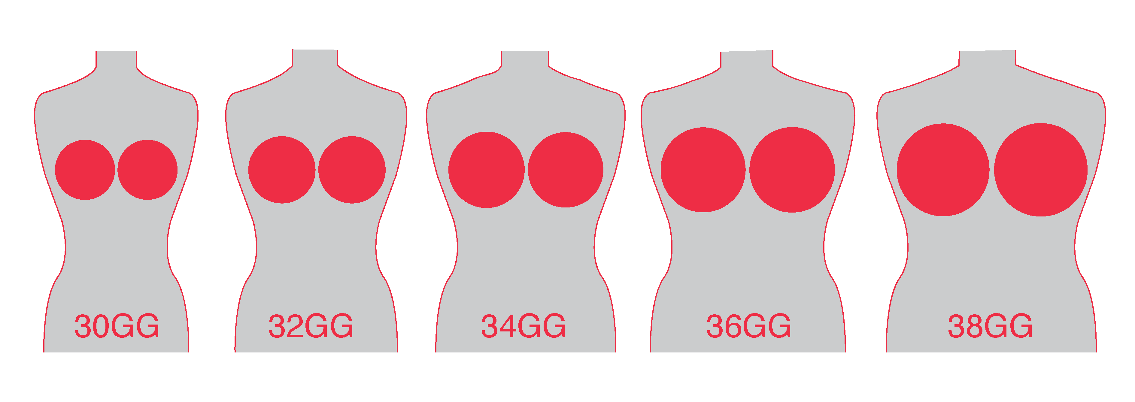 Bra Size Charts And Conversions Accurate Guide With Images | vlr.eng.br