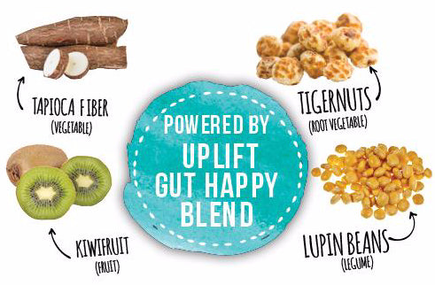 uplift food gut happy cookies prebiotics immune health gut healthy proprietary blend resistant starch soluble fiber flavonoid probiotics uplift food gut happy cookies prebiotics immune health gut healthy proprietary blend resistant starch soluble fiber flavonoid probiotics immunity