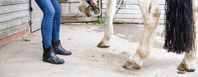 muck equestrian boots