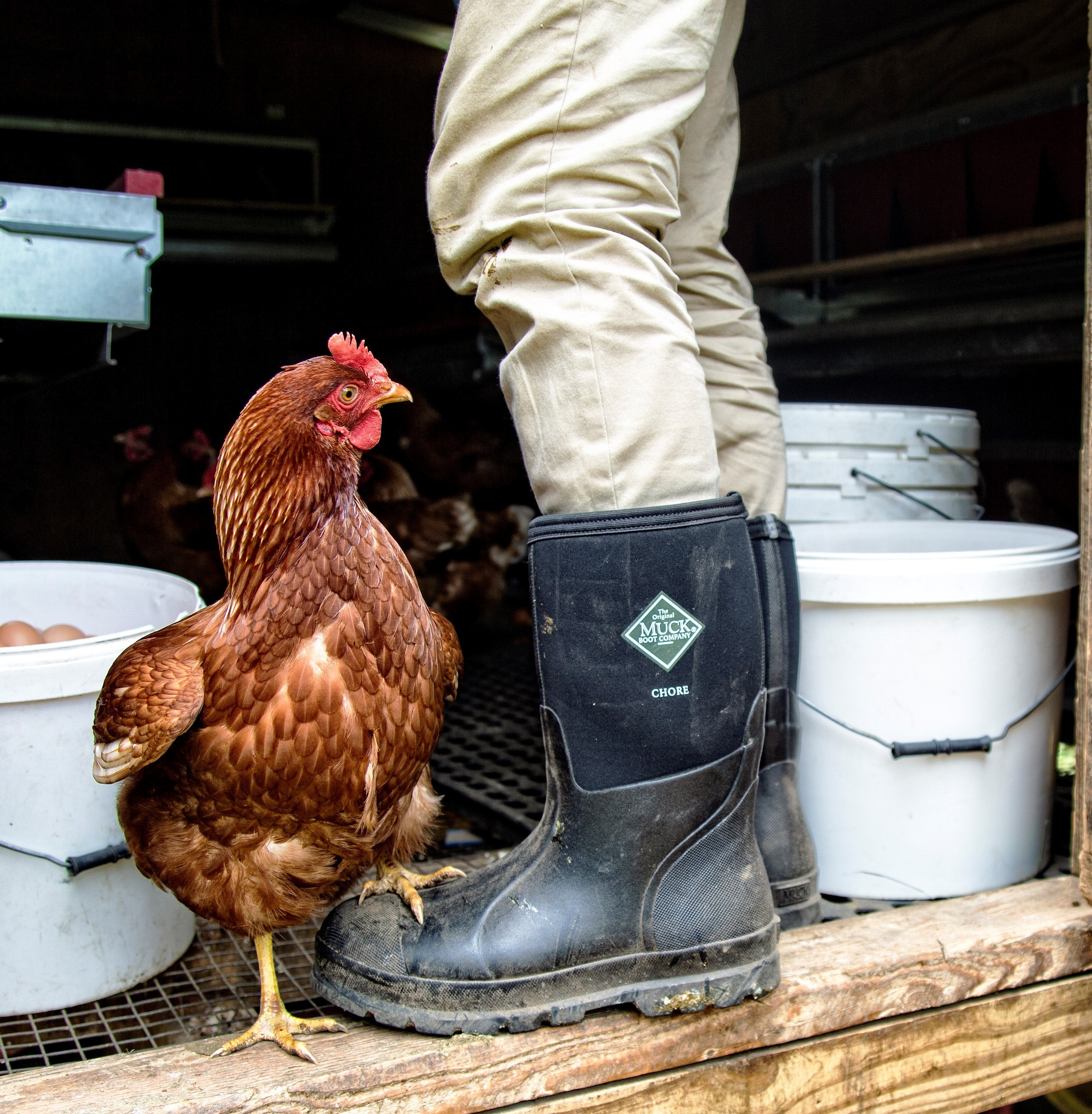 muck boots men chore