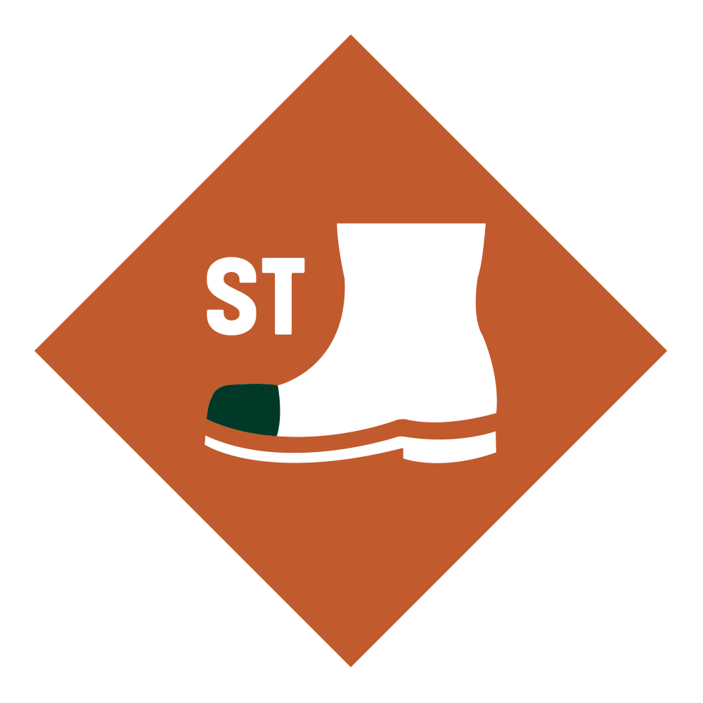 Steel Toe