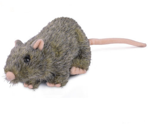 rat plush