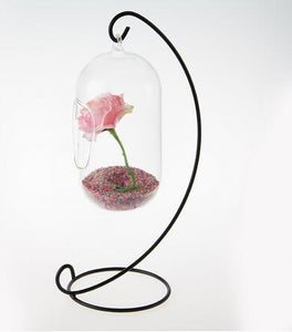 Hanging Glass Vase Aquarium Suitable for Cultivation of Hydroponic Plant