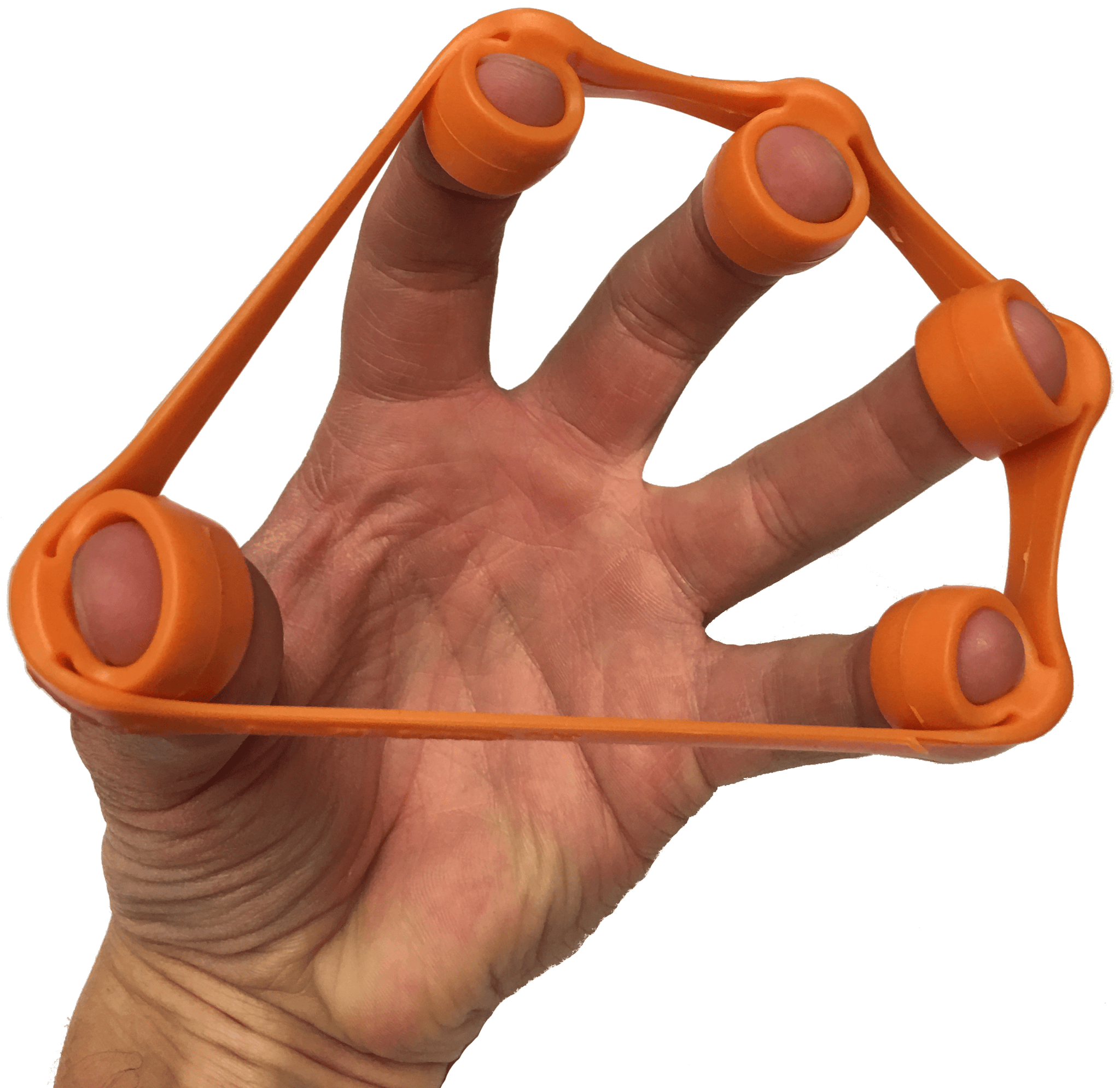 wrist trainer