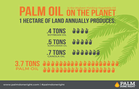 Palm Oil: Comparing the Positives and Negatives