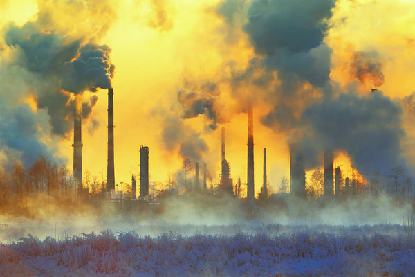 Human pollution in its various forms is what's causing the sixth extinction we're currently living through
