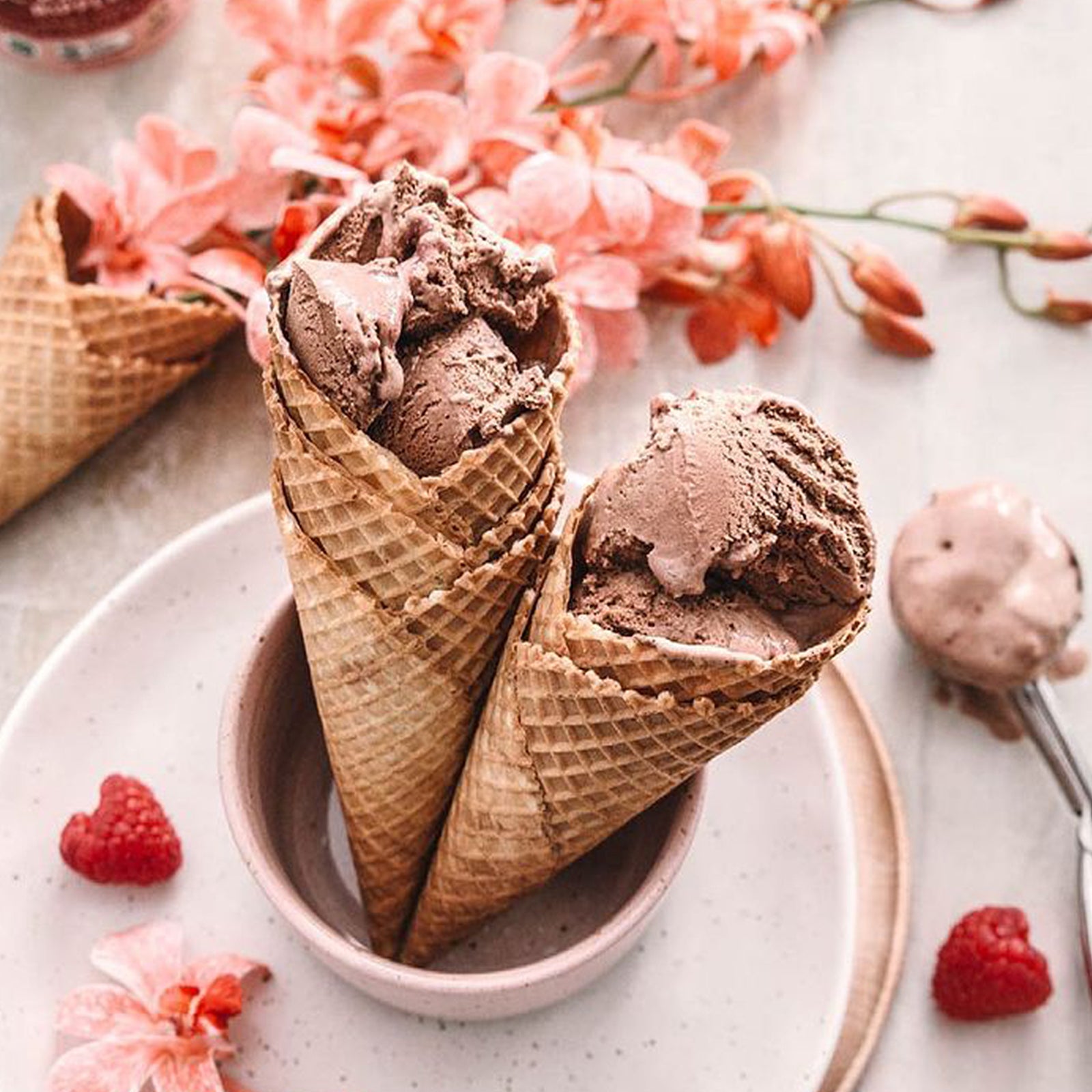 植物性 ナチュラル アイスクリーム ココフリオ Cocofrio チョコ ラズベリー オーストラリア産 乳製品不使用 500ml