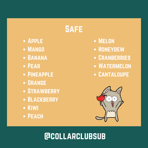 Safe fruits for dogs - Collar Club