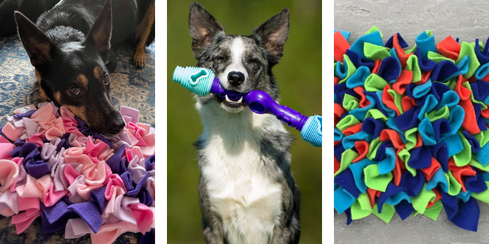 Enrichment Games for Dogs