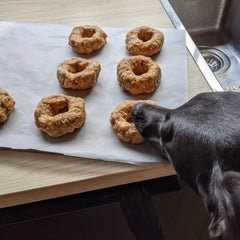 Collar Club Dog Doughnuts Natural Valentines Recipe