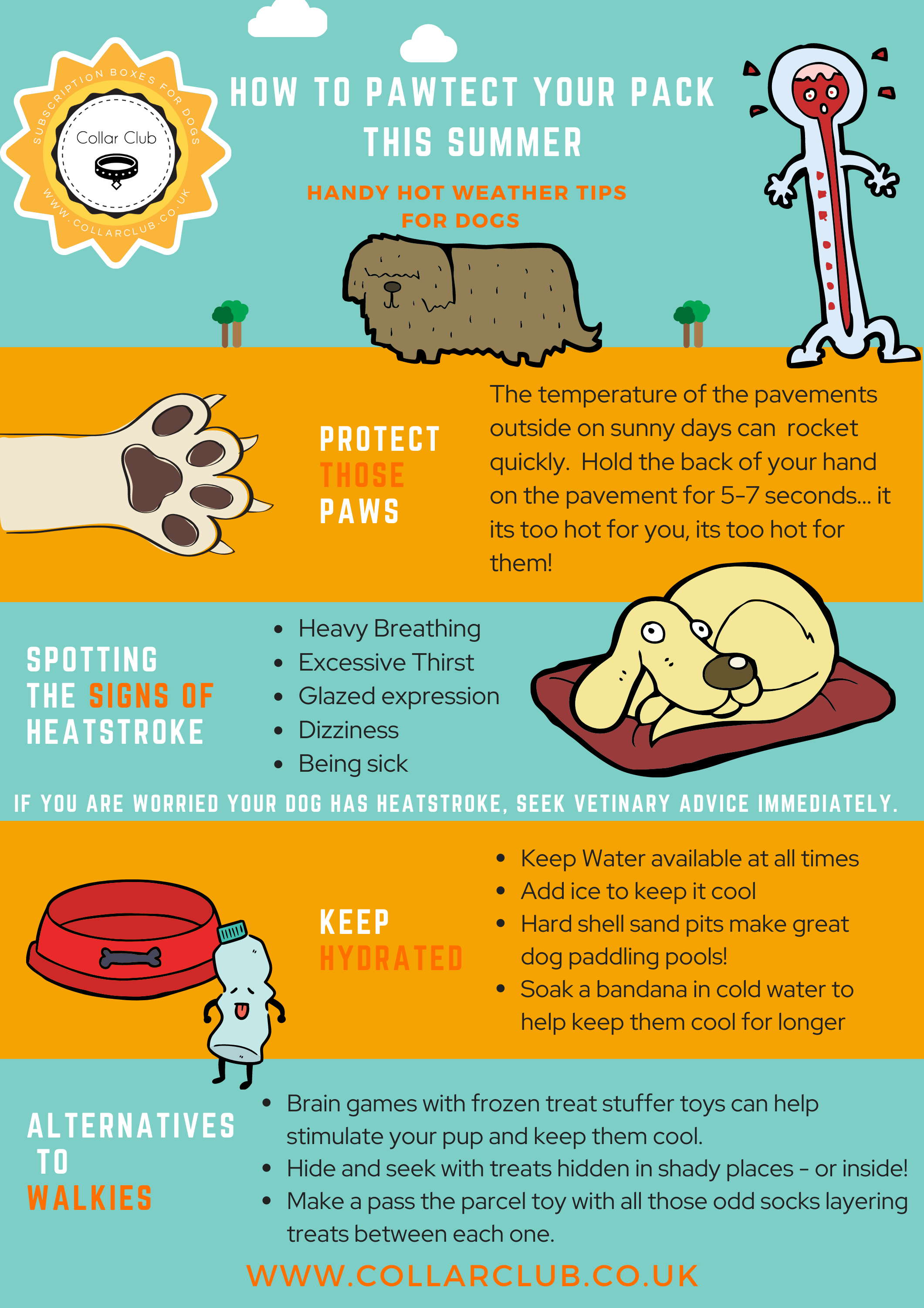 Top Tips For Keeping Your Dog Safe in Summer