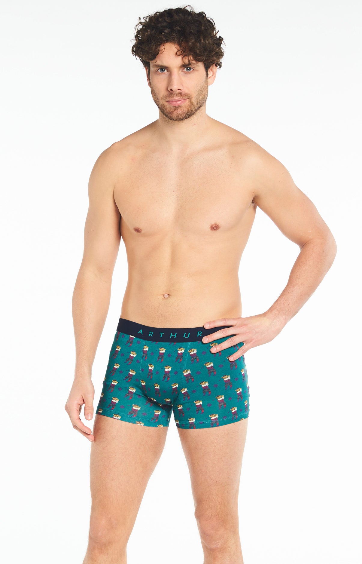 Boxer - Green de Champion