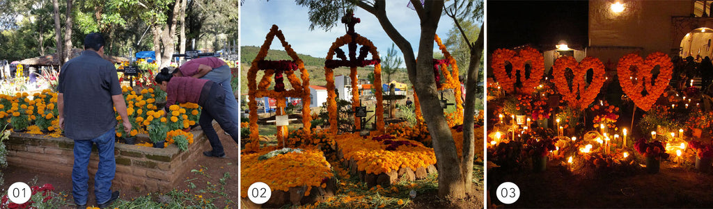 Celebrating Dia de los Muertos in Mexico