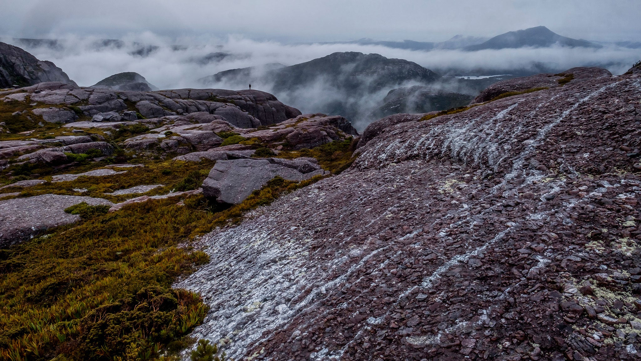 Alipine area in Tasmania