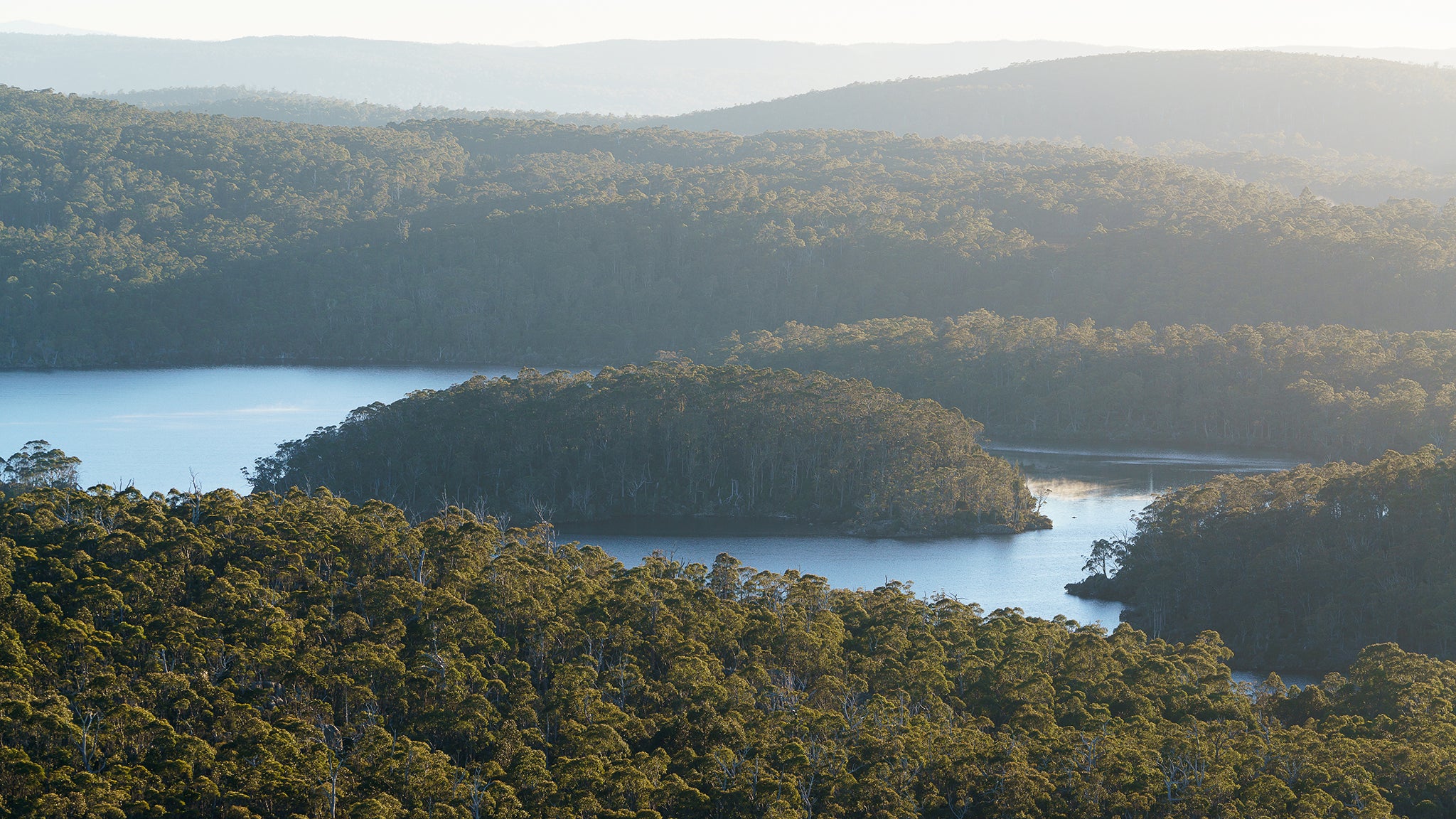 Photo of Halls Island on Lake Malbena by Grant Dixon