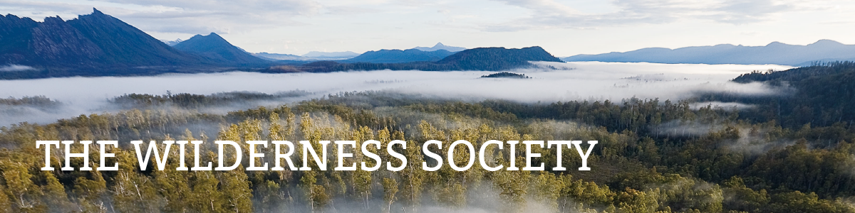 The Wilderness Society Tasmania