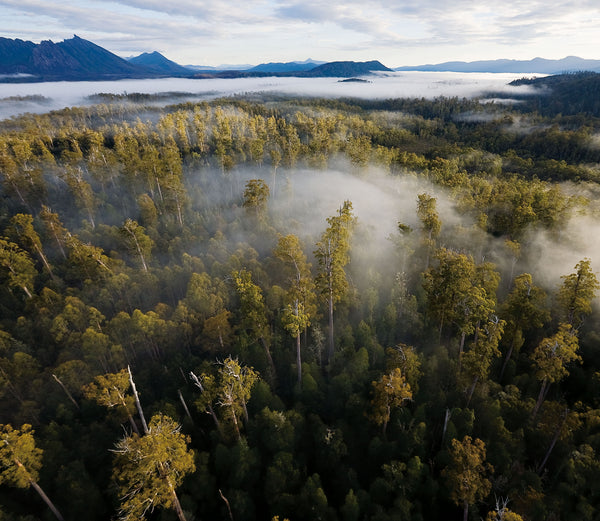 The Wilderness Society Photo