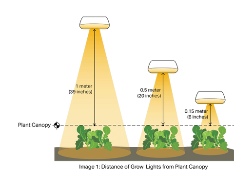 distance of grow light from plant canopy