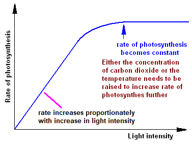 light intensity