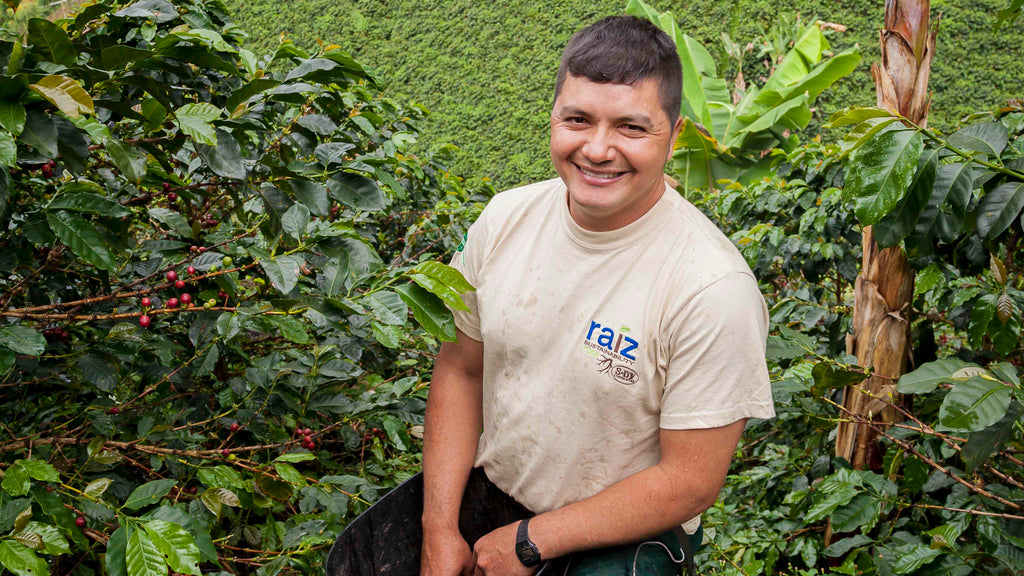 Hector Marin - farmer partner for westrock coffee