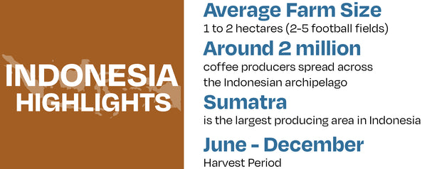indonesia infographic