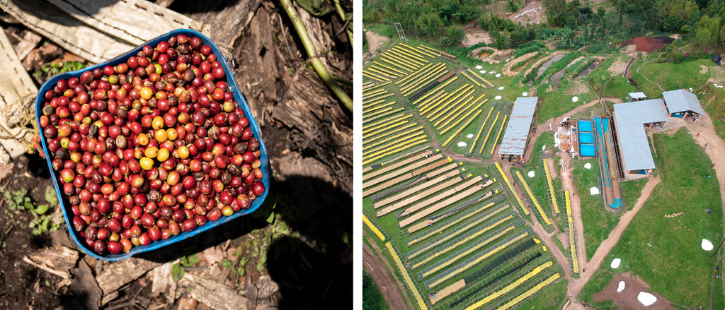 Rwanda collage - washing station